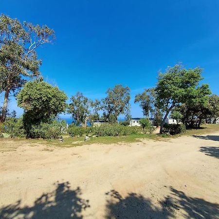 Calvi Mobil-Home Neuf Particulier Sur Camping Lumio  Exterior foto